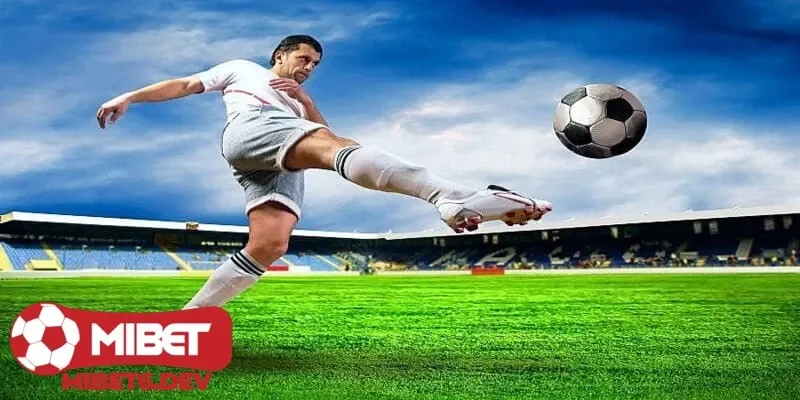 Cách đọc kèo tài xỉu bóng đá dễ hiểu dành cho người chơi mới